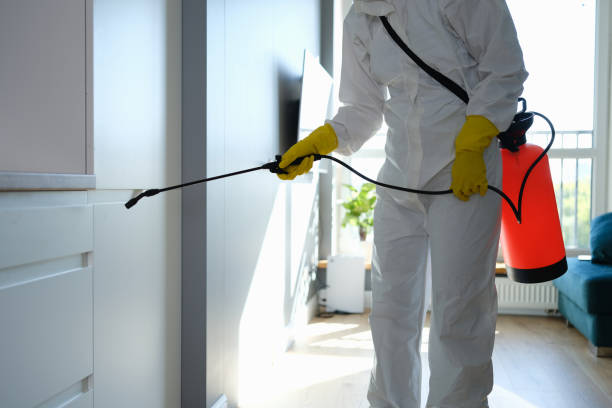 Best Residential Mold Removal  in Clifton Springs, NY