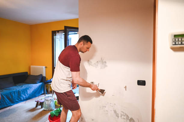 Best Mold Testing  in Clifton Springs, NY